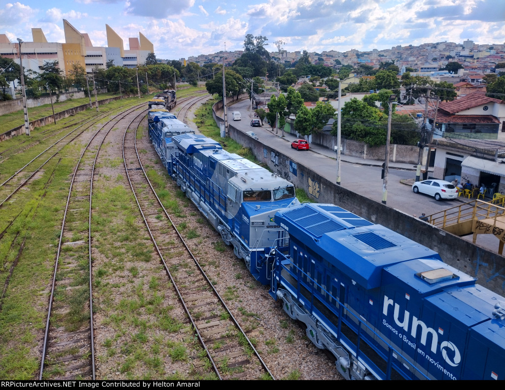 RUMO 9599
